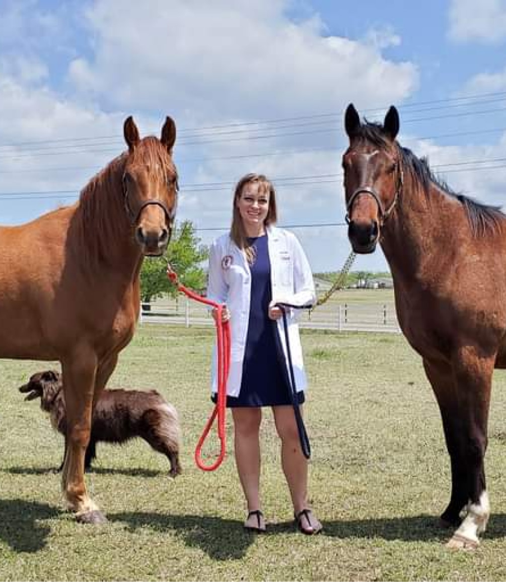 dr. kaci and horses