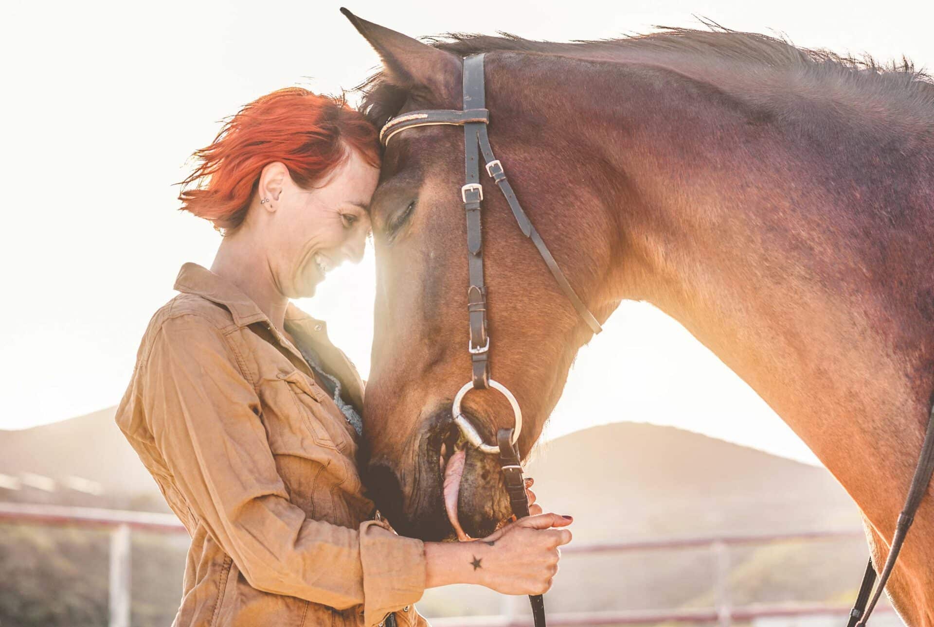Planning Ahead for a Healthy Season: February Tips for Equine Preventive Care